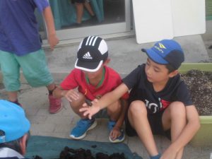 8月28日　カブト虫観察会